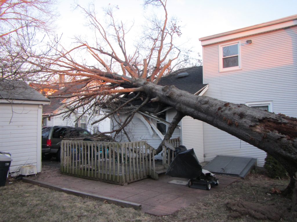 24 Hour Emergency Tree Care Services From Mountain Tree Service in Connecticut